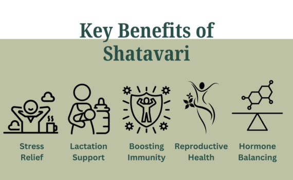 VedaTreat Pure Shatavari Powder – Hormonal Balance & Wellbeing - Image 5